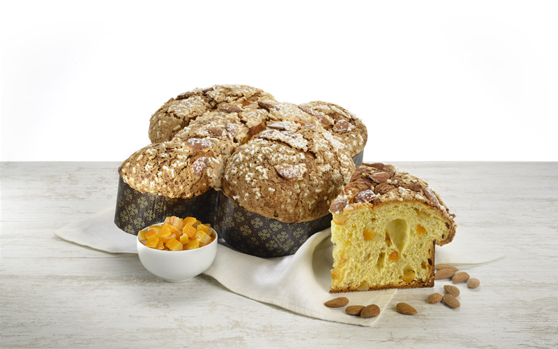 Colomba